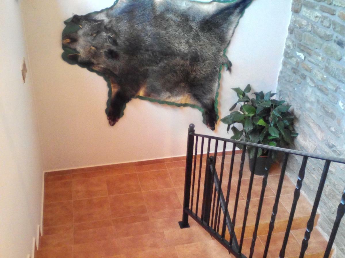 Jazmin Apartman Tihany Exteriör bild